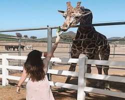 She is an animal lover and wants to spread love everywhere.